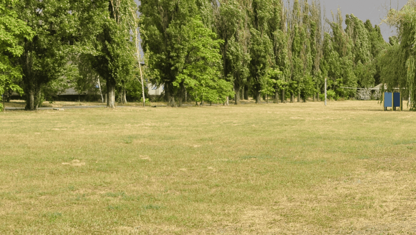 Неподготовленный участок