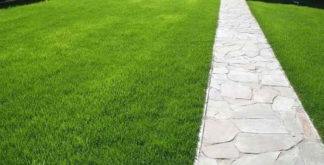 Универсальный газон под ключ