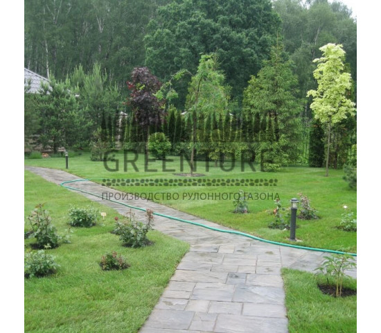 Устройство рулонного газона в частном доме - фото - 6